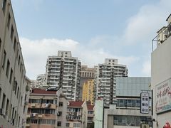 -WHEN PIGS FLY当猪飞