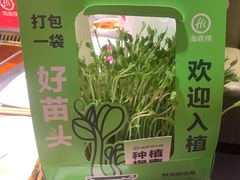 -海底捞火锅(大唐店)