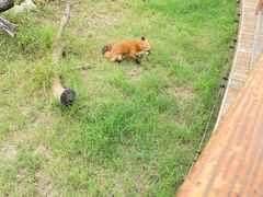 -祥源·阜阳生态乐园