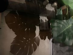 -C&R西班牙餐厅