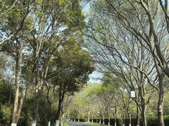-天目湖涵田度假村