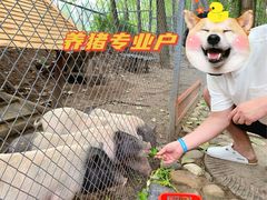 -林间山庄