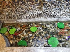 -小厨师·二十年沈家门小海鲜(百井坊巷店)