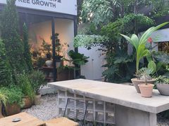-自由生长植物工作室(深港花卉中心店)