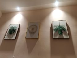 -倩极·精研痘敏肌管理