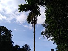 景点-乌鲁淡布隆国家公园