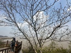 -外蒲山