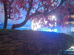 -1718海鲜姿造(苏宁宴请臻选店)