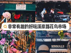 -溪岸路花鸟市场
