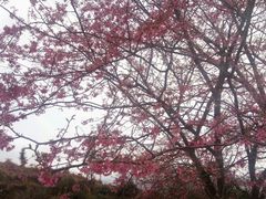 -广东大峡谷