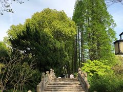 -上海醉白池公园