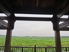 -天津东丽湖风景区