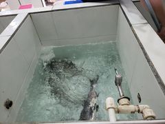 -贡椒鱼老店·雅安十大名店