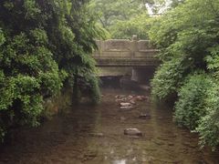 iphone_upload_pic-九溪烟树