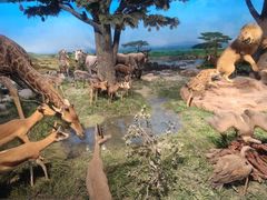 -国家自然博物馆