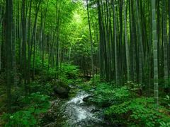 -郑州植物园