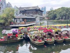-荔湾湖公园