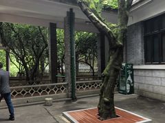 -滴水洞景区