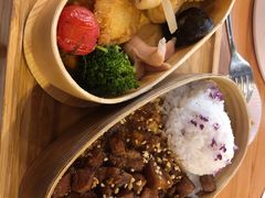 -猫小院猫主题餐厅(三里屯店)