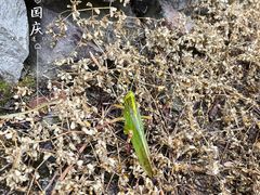-会稽山峡洞漂流-上青古道