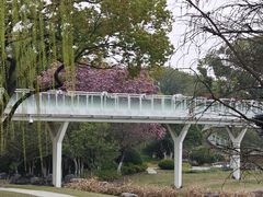 -昆山城市公园