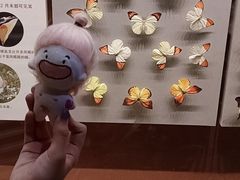-天津自然博物馆