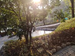 -山湖温泉