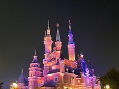 -上海迪士尼度假区