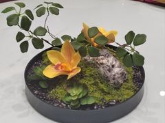-九龙大酒店·金牌楚菜(武泰闸店)