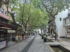 -南宋御街