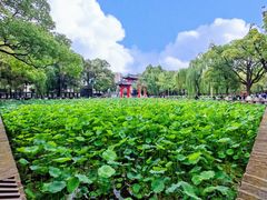 -四川大学(望江校区)