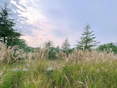 -汉长安城未央宫国家考古遗址公园