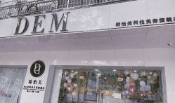 -DEM缔怡美科技美容