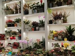 -艾比嘉尔轻奢花店·气球派对(长宁店)