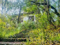 -上海佘山国家森林公园天马山园