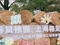 -上海月湖雕塑公园