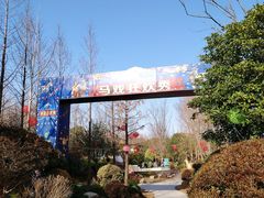 -上海长兴岛郊野公园