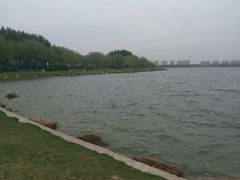 -丁香湖公园