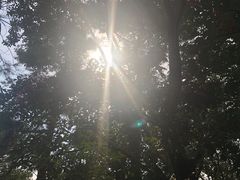 -南京市无想山景区