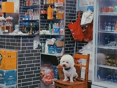 -李德富老街牛杂火锅(抚琴街店)