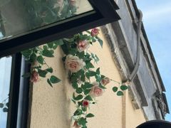 -吾象走甜·生日蛋糕·甜品台茶歇
