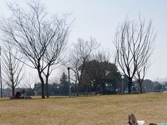 -尚贤河湿地
