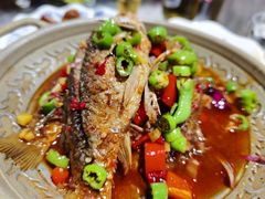 -龙小海荆沙鸽子店(瑞安街店)