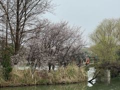 -苏州太湖国家湿地公园
