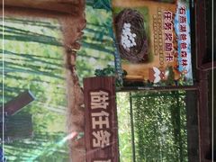 -石燕湖生态旅游景区