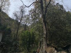 -遂昌金矿国家矿山公园