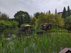 -成飞公园