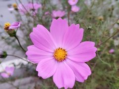 -武陵山森林公园