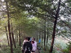 -东白山