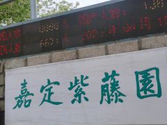 -嘉定紫藤园
